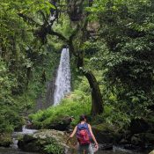 Jungle Trek